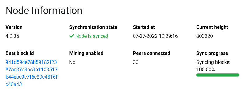 A fully synced and running ERGO node